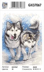 GX37067 Картина по номерам  "Сибирские хаски" 40х50 см