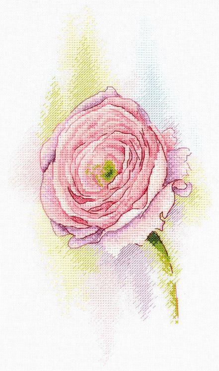 Набор для вышивания Aquarelle "Нежный Ранункулюс" А-046