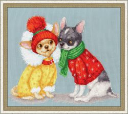 ВК-049 Набор для вышивания Золотое Руно "Модная парочка"