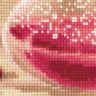 Набор для вышивания Риолис "Розовый гранат" 1618
