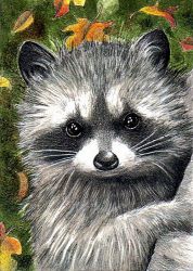 Ag1042 Алмазная мозаика Гранни «Енот-полоскун»