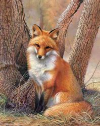 Ag506 Алмазная мозаика Гранни «Лисица»