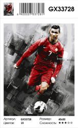 GX33728 Картина по номерам Paintboy "Футболист"