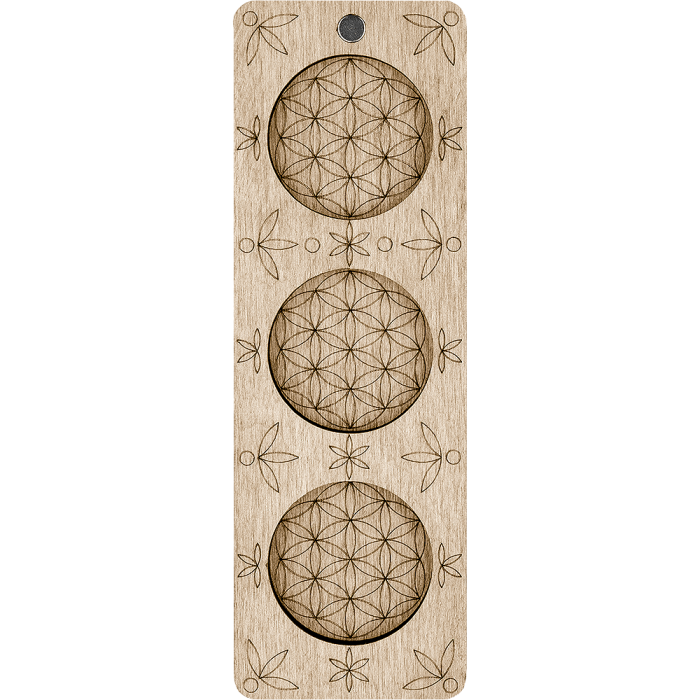 Органайзер для бисера без крышки ВОЛШЕБНАЯ  СТРАНА FLZB-020 5*15см, 3 ячейки