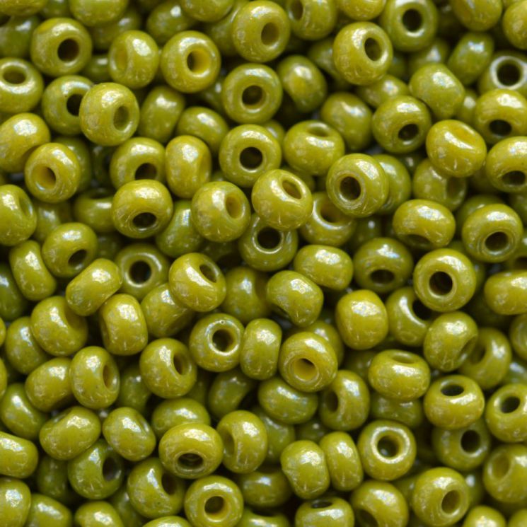 Бисер Preciosa 10/0 50г 83113