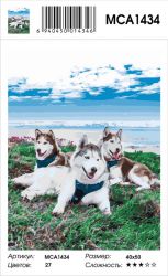 MCA1434 Картина по номерам  "Семья хаски", 40х50 см