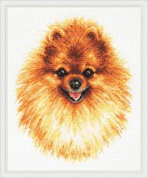 59-22 Набор для вышивания Чудесная игла "ПОМЕРАНСКИЙ ШПИЦ"