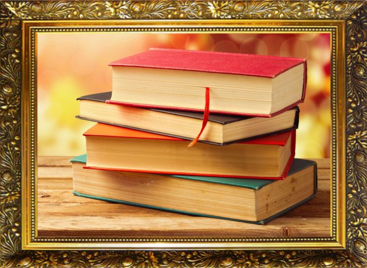 NR-2 Алмазная мозаика Милато "Книжный бум"