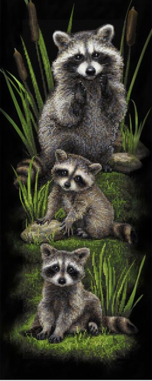 БС-027 Алмазная мозаика (кругл) Наследие "Еноты"