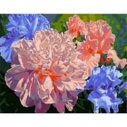 MCA930 Картина по номерам  "Ирисы и пионы" ,  40х50 см