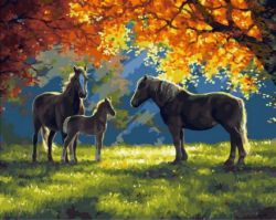 MCA979 Картина по номерам "Солнечный луч на поляне",  40х50 см