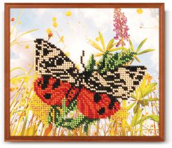 В-209 "Тропиканка" (КРОШЕ)