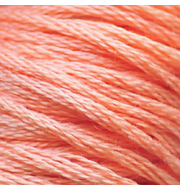 Мулине СХС, 3824 СХС