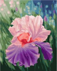 МСА376 Картина по номерам Paintboy "Яркий ирис"