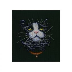 М576 Набор для вышивания РТО "Кошачий фаворит"