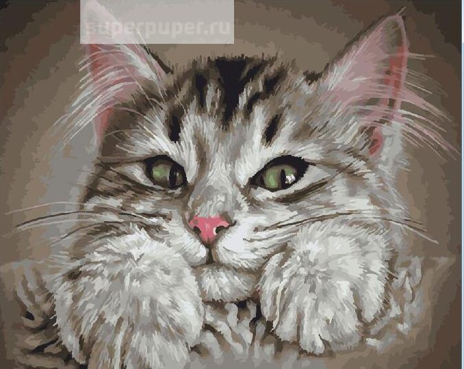 GX28558 Картина по номерам Paintboy "Милое создание"